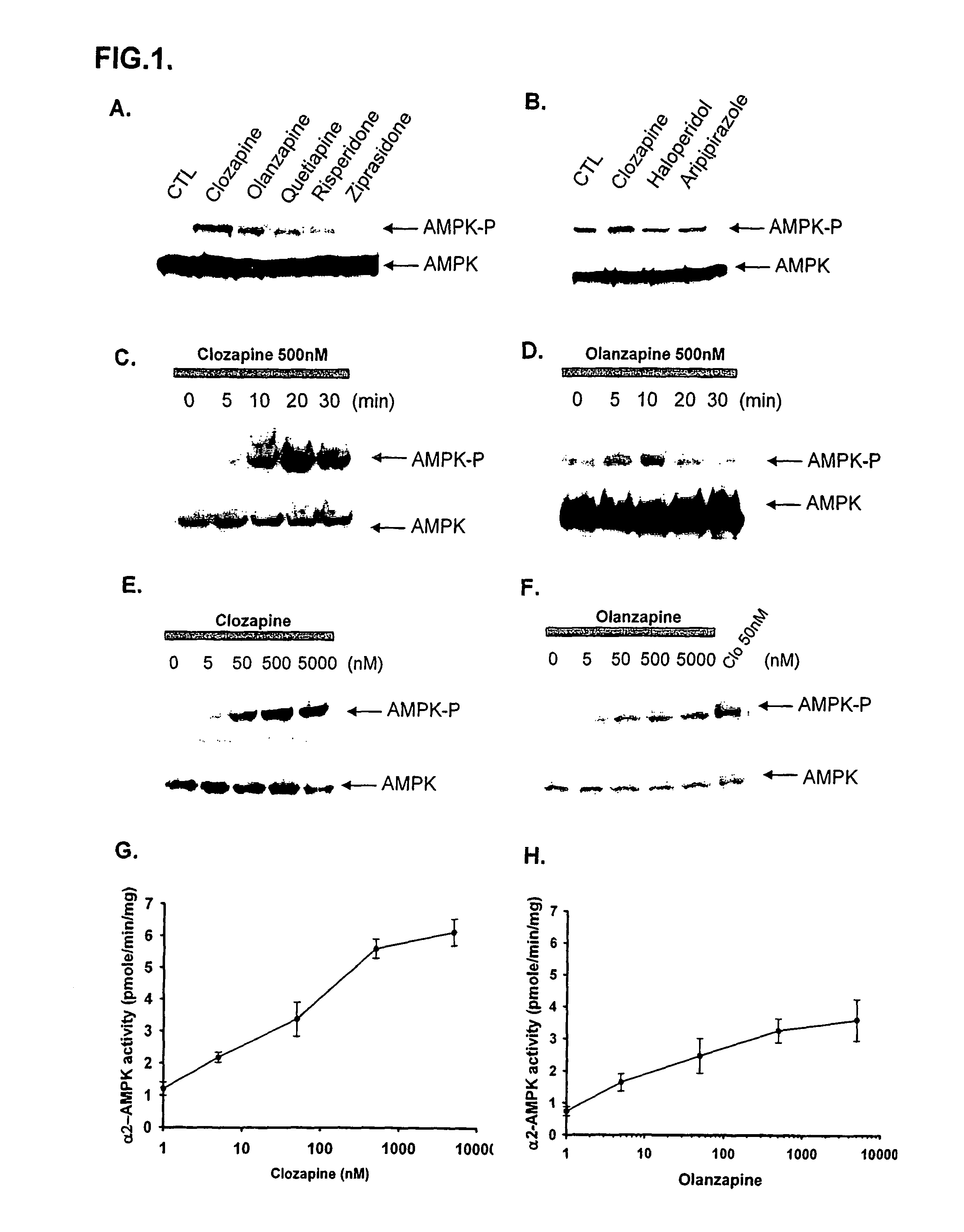 Methods for predicting psychotropic drugs which elicit weight gain