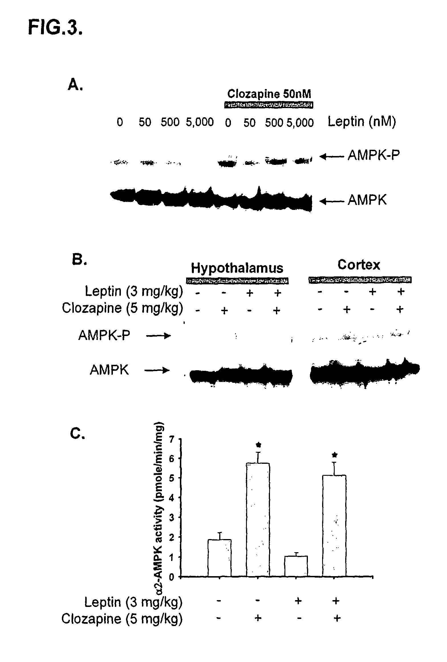 Methods for predicting psychotropic drugs which elicit weight gain