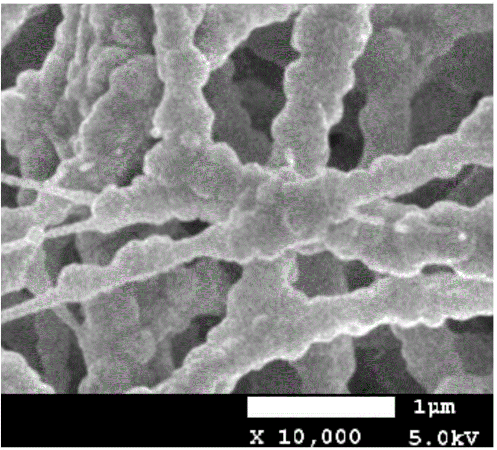 Preparation method of super-hydrophobic polytetrafluoroethylene film