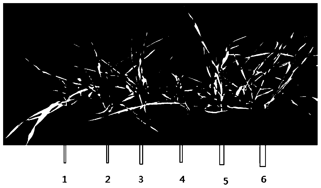 Method for identifying salt tolerance of barley in seedling stage