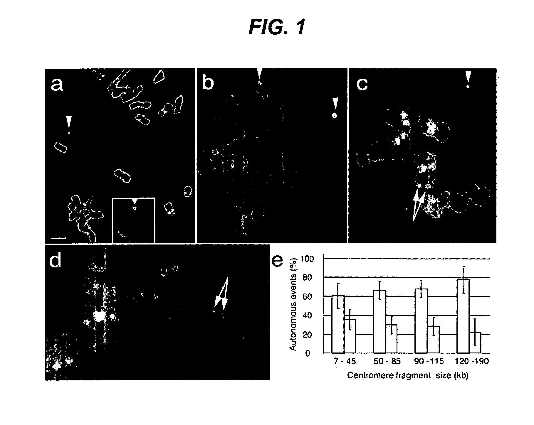 Centromere sequences and minichromosomes