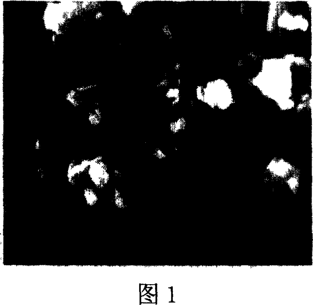 Preparation method of carborundum composite-phase ceramic