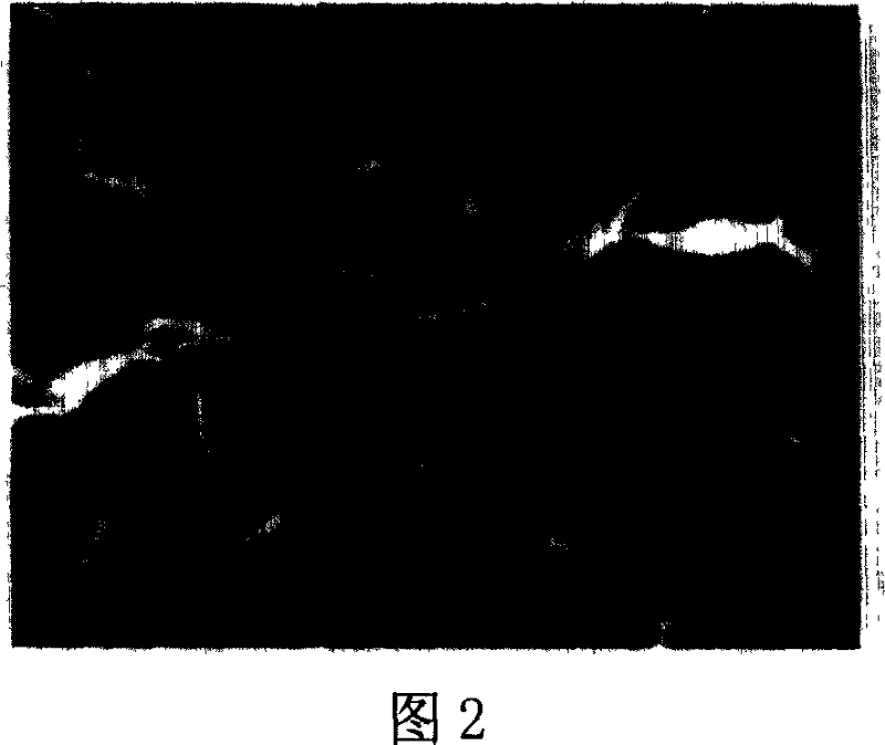 Preparation method of carborundum composite-phase ceramic