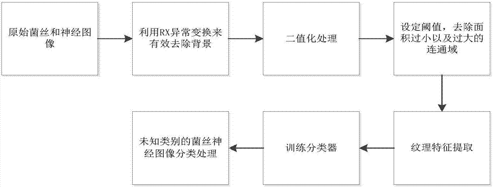 An Image Recognition Method of Fungal Keratitis Based on Ambp Improved Algorithm