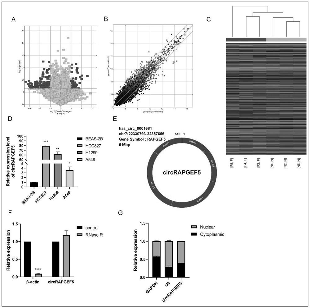 Analysis method for application of circRNAs in lung adenocarcinoma