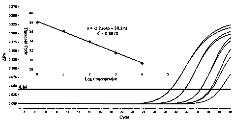 Fluorescent quantitative PCR method for detecting potato leaf roll virus