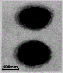 Preparation method of dihydromyricetin-carried ternary complex liposome