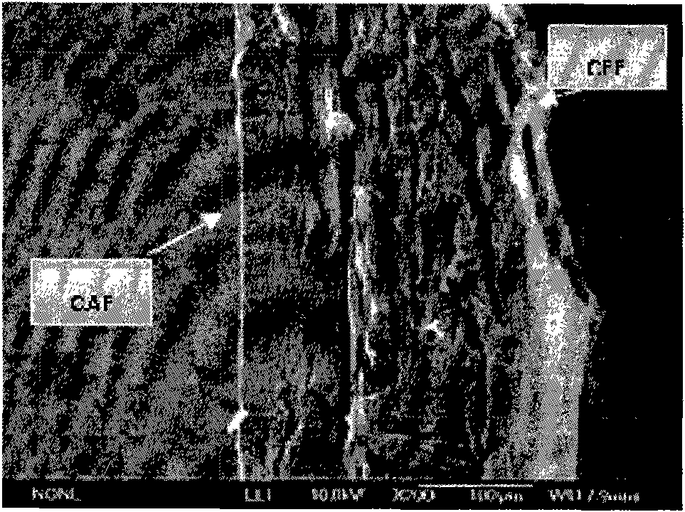 Growth factor-loaded collagen group composite material as well as preparation method and application thereof