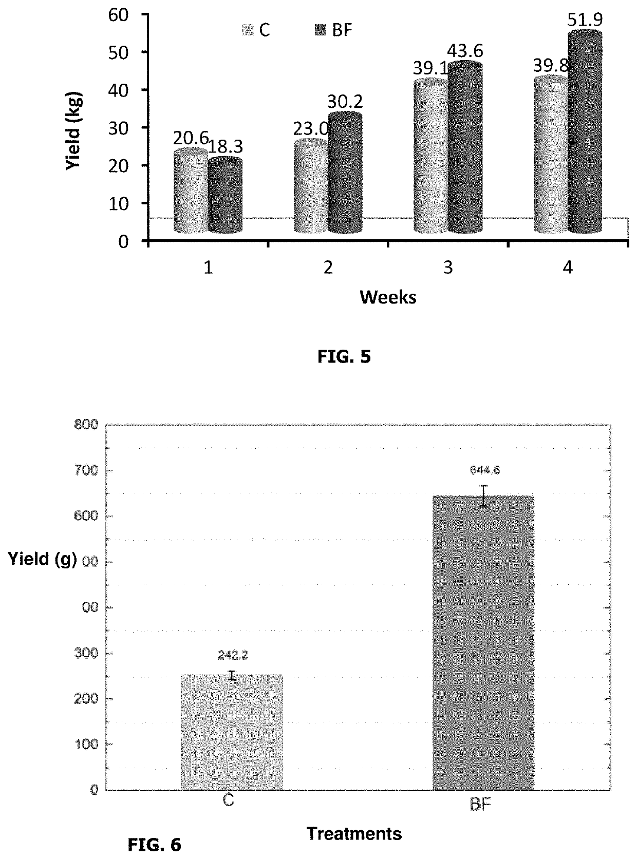 Biofertilizer to increase agricultural yield