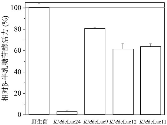 Recombinant engineering bacterium for producing 2 '-fucosyllactose as well as construction method and application of recombinant engineering bacterium