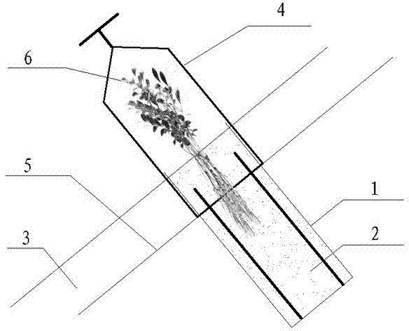 Shrub planting method in slope protection and seedling protecting cover thereof