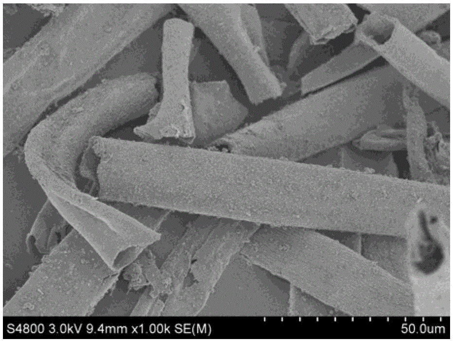 Preparation method and application of hollow tubular biochar