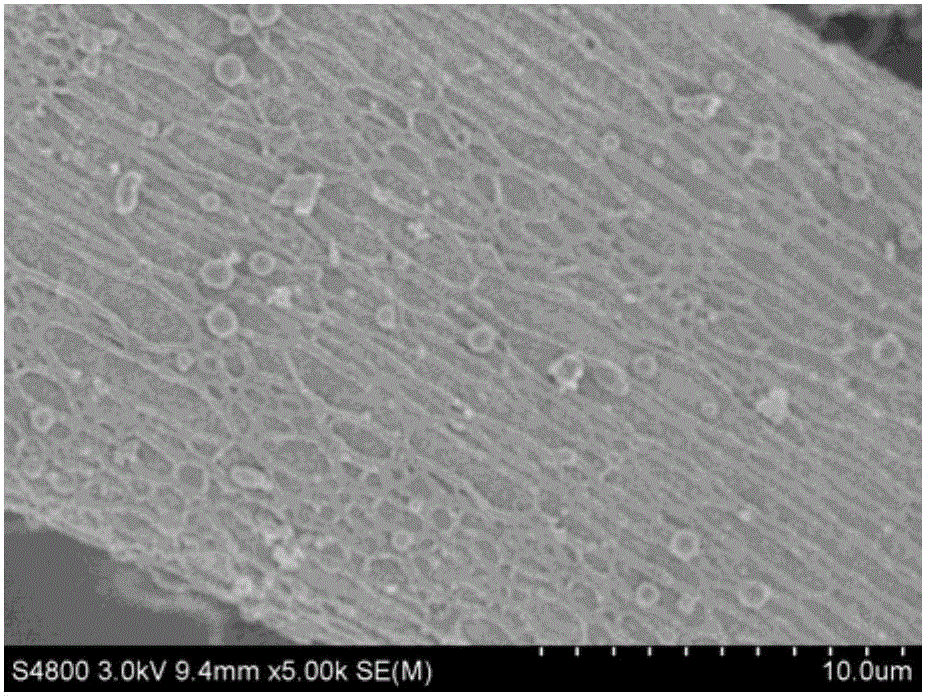 Preparation method and application of hollow tubular biochar