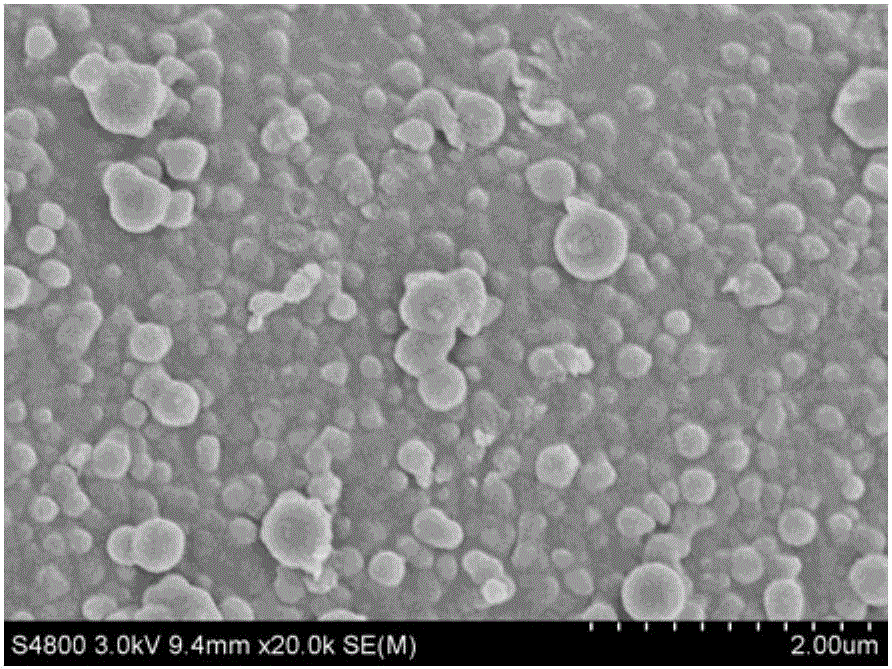 Preparation method and application of hollow tubular biochar