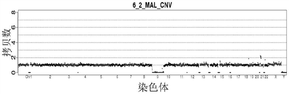 A system and method for identifying balanced translocation carrier status of embryos