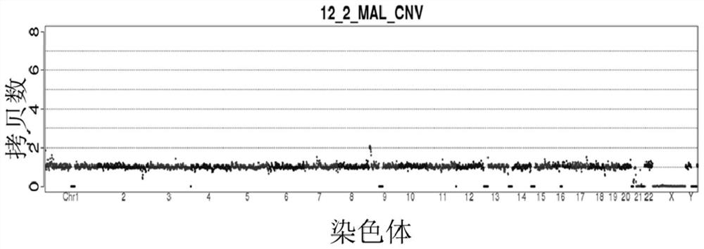 A system and method for identifying balanced translocation carrier status of embryos