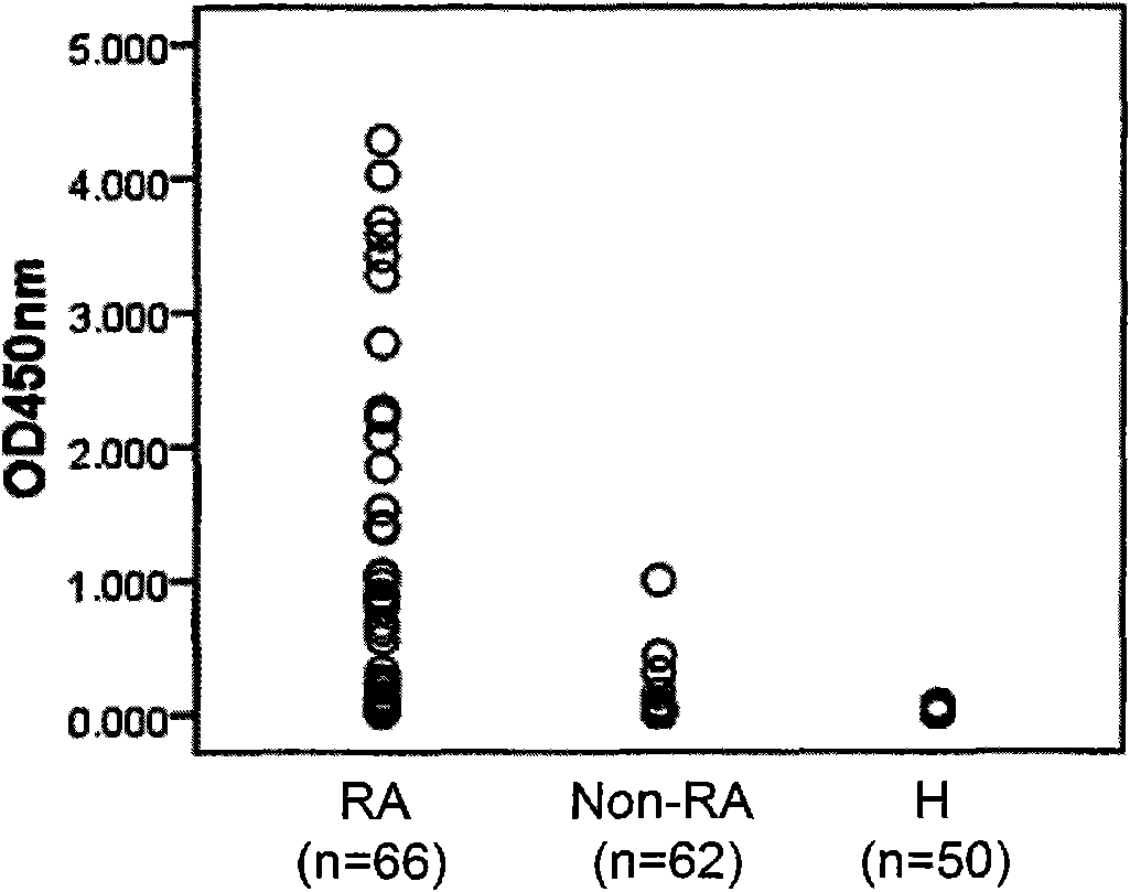 Kit for detecting cyclic citrullinated peptide (CCP) and immunoglobulin G (IgG) resistant bispecific antibody