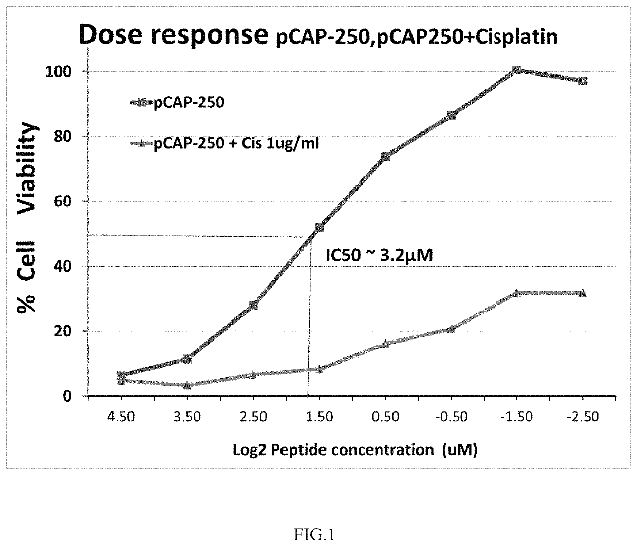 Peptides and use of same in the treatment of diseases, disorders or conditions associated with a mutant P53