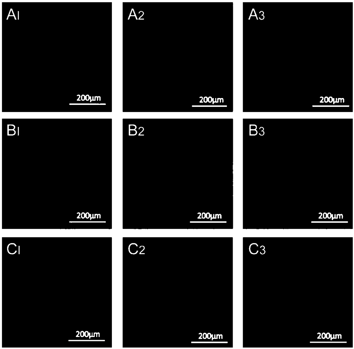 Preparation method for mesoporous bioactive glass/sodium alginate-sodium alginate layered bone tissue engineering scaffold