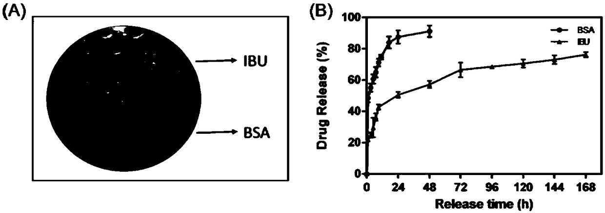 Preparation method for mesoporous bioactive glass/sodium alginate-sodium alginate layered bone tissue engineering scaffold