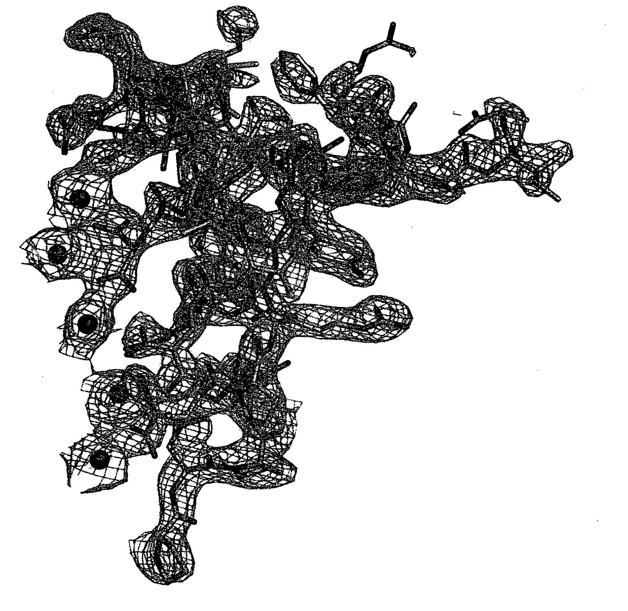 Method of rational-based drug design using osteocalcin