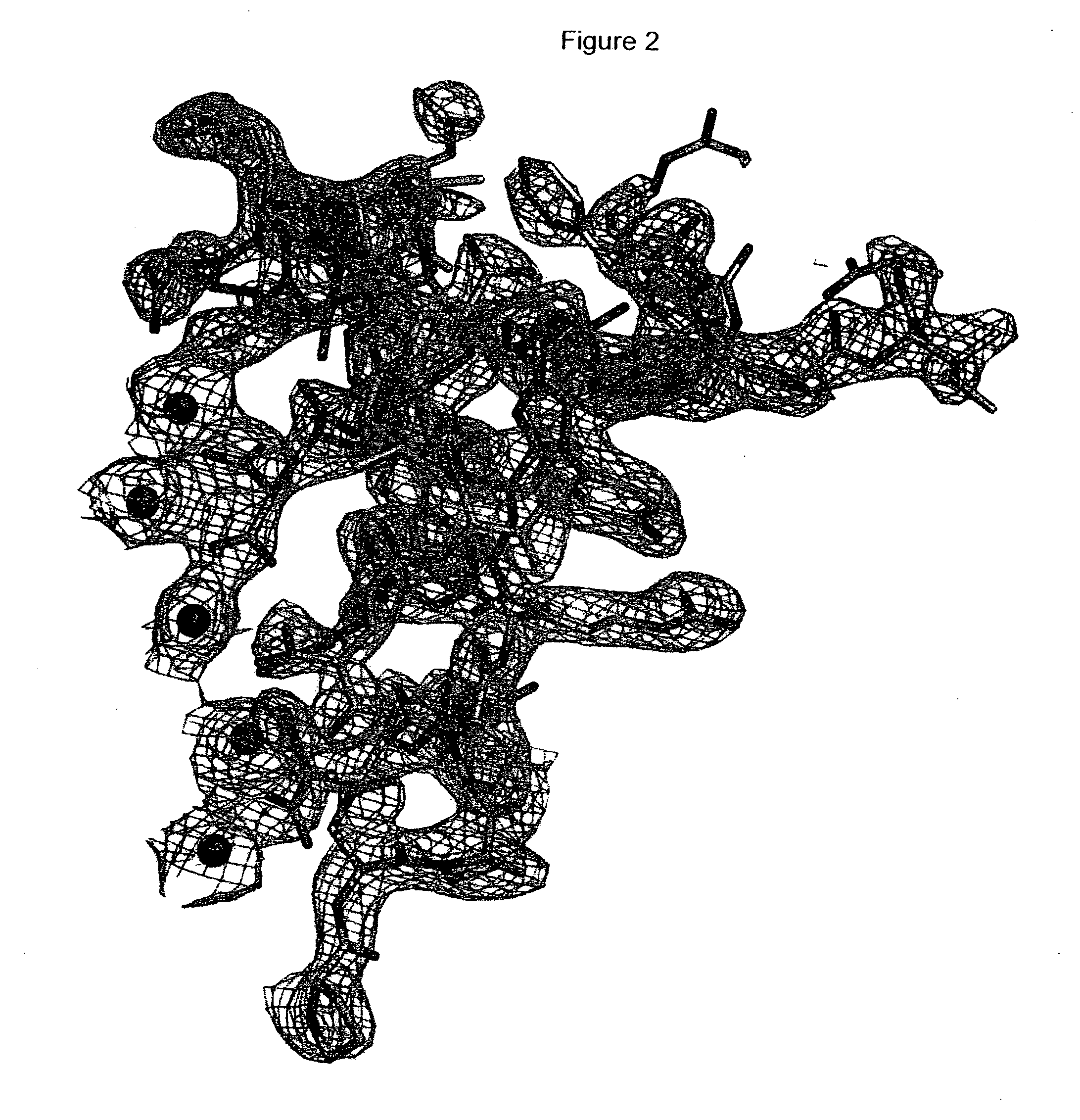 Method of rational-based drug design using osteocalcin