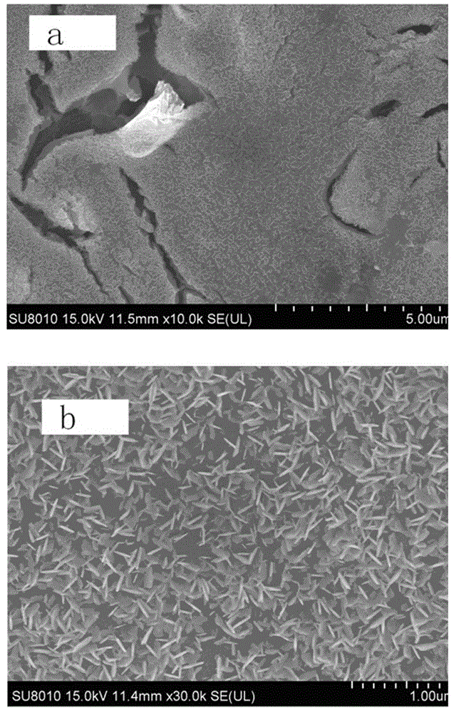 Electrolysis type sterilization and disinfection device as well as preparation method and application thereof