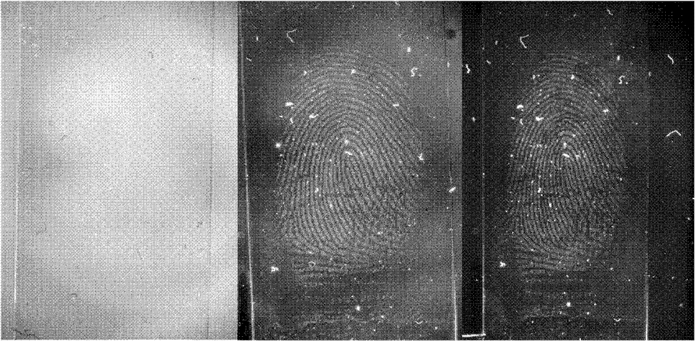 Composite fluorescence imaging system applied in forensic science evidence testing, and application method thereof