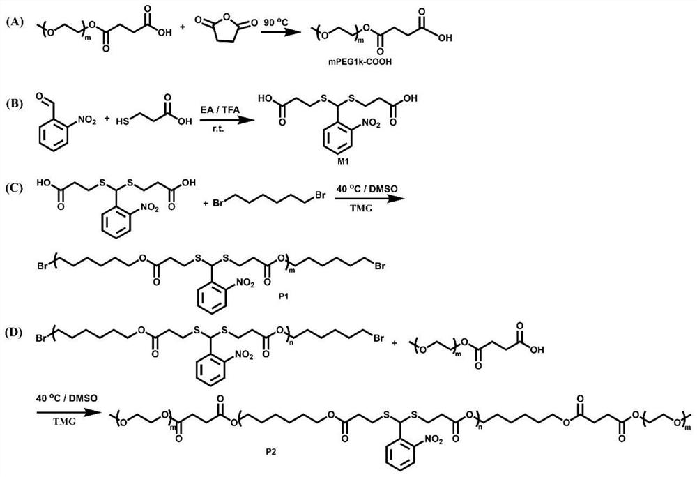 Degradable photoresponse polymer and preparation method thereof