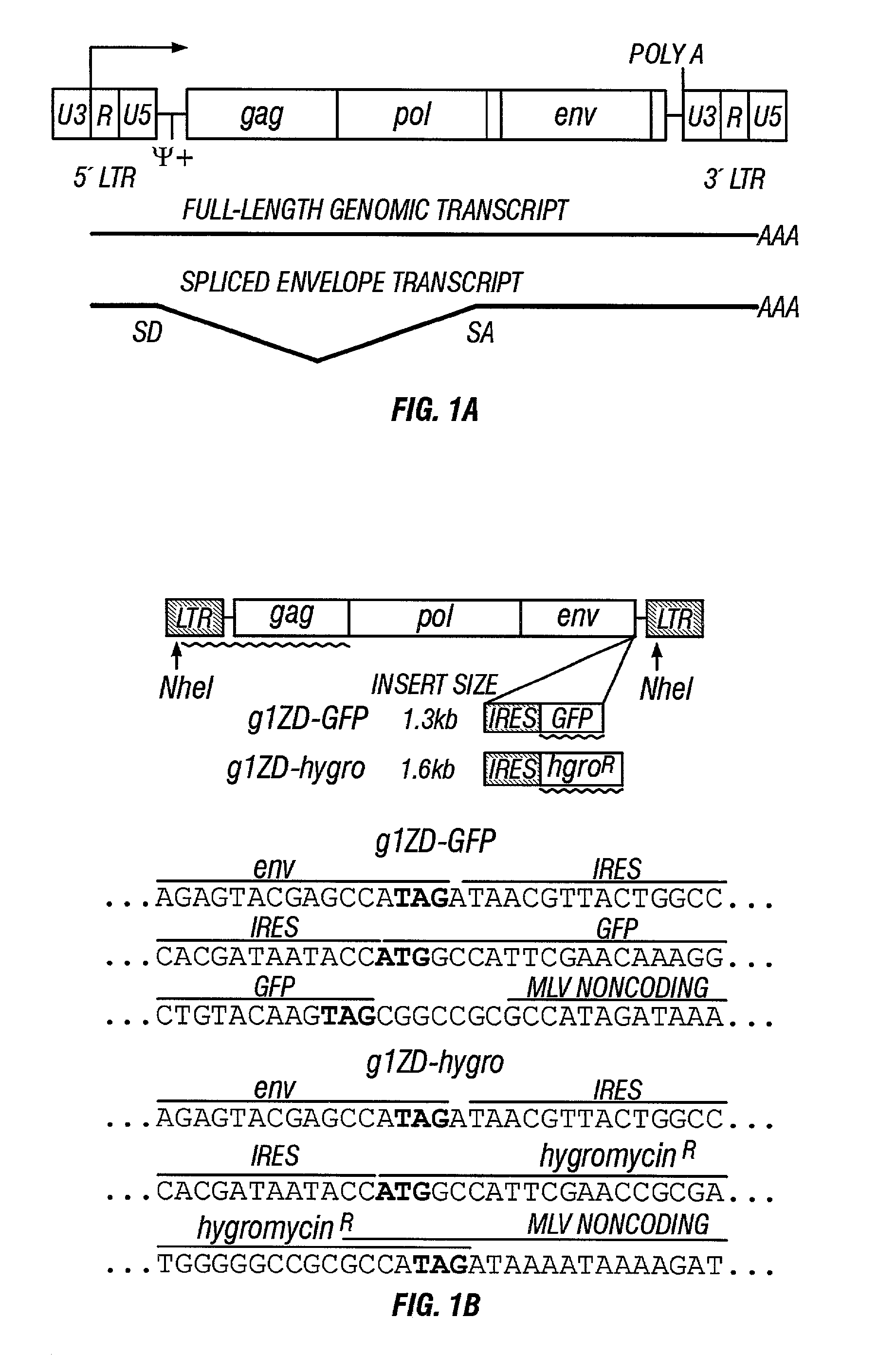 Gene delivery system and methods of use