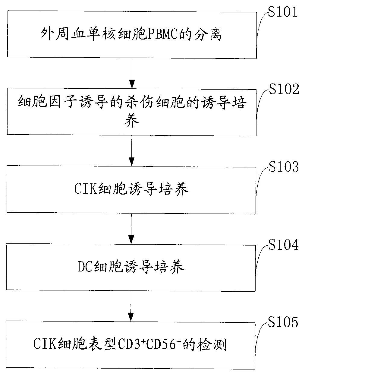 Method for stimulating rapid proliferation of CIK (Cytokine-induced Killer) cells by using DC (Dendritic Cells)