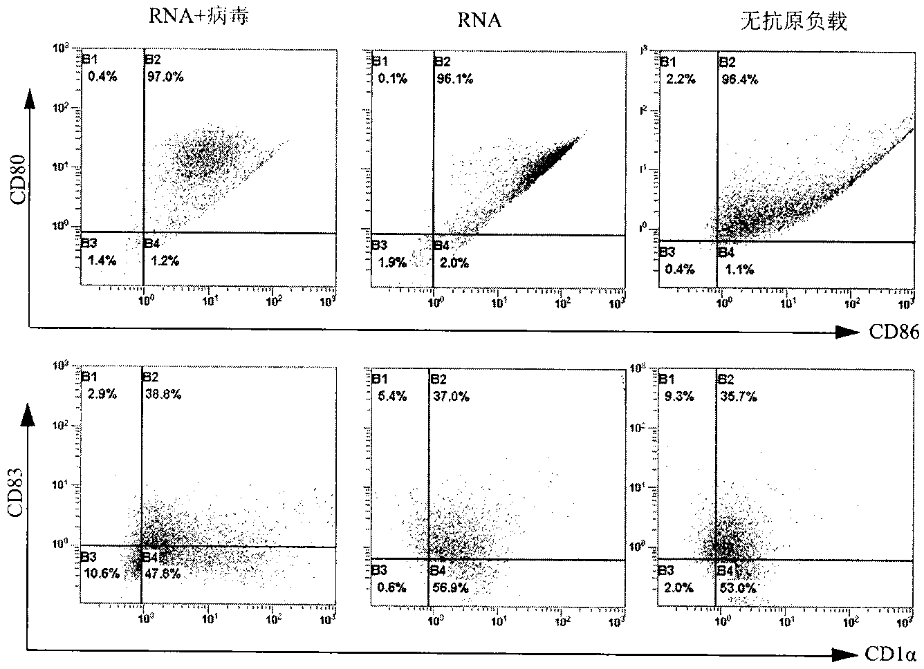 Method for stimulating rapid proliferation of CIK (Cytokine-induced Killer) cells by using DC (Dendritic Cells)