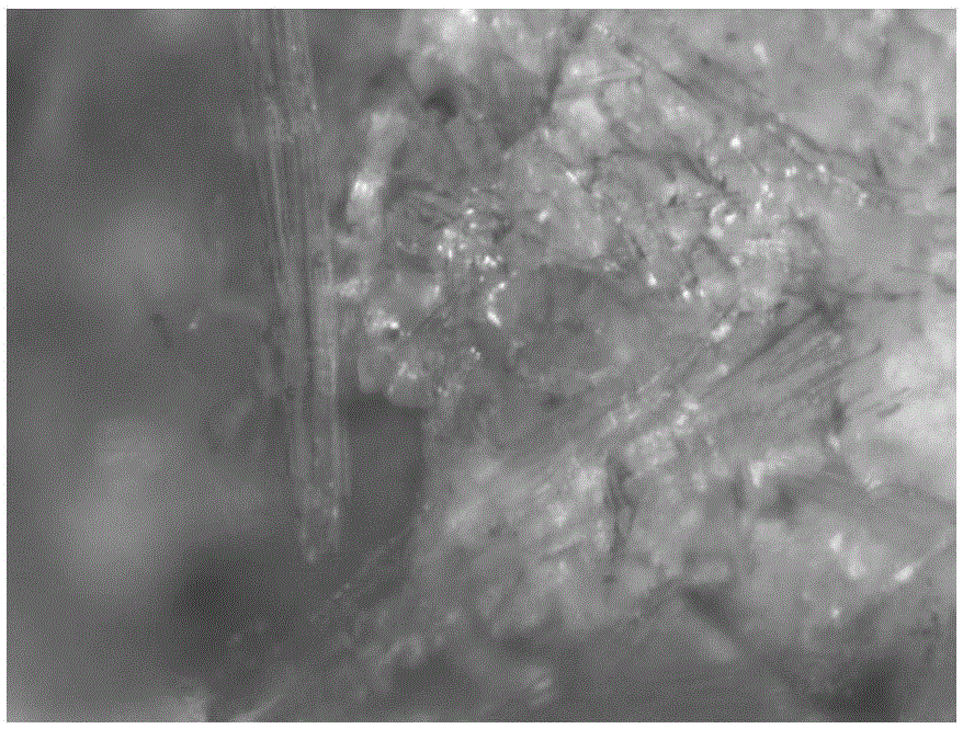 Banana cellulose crystallite/polylactic acid aerogel and preparation method and use thereof