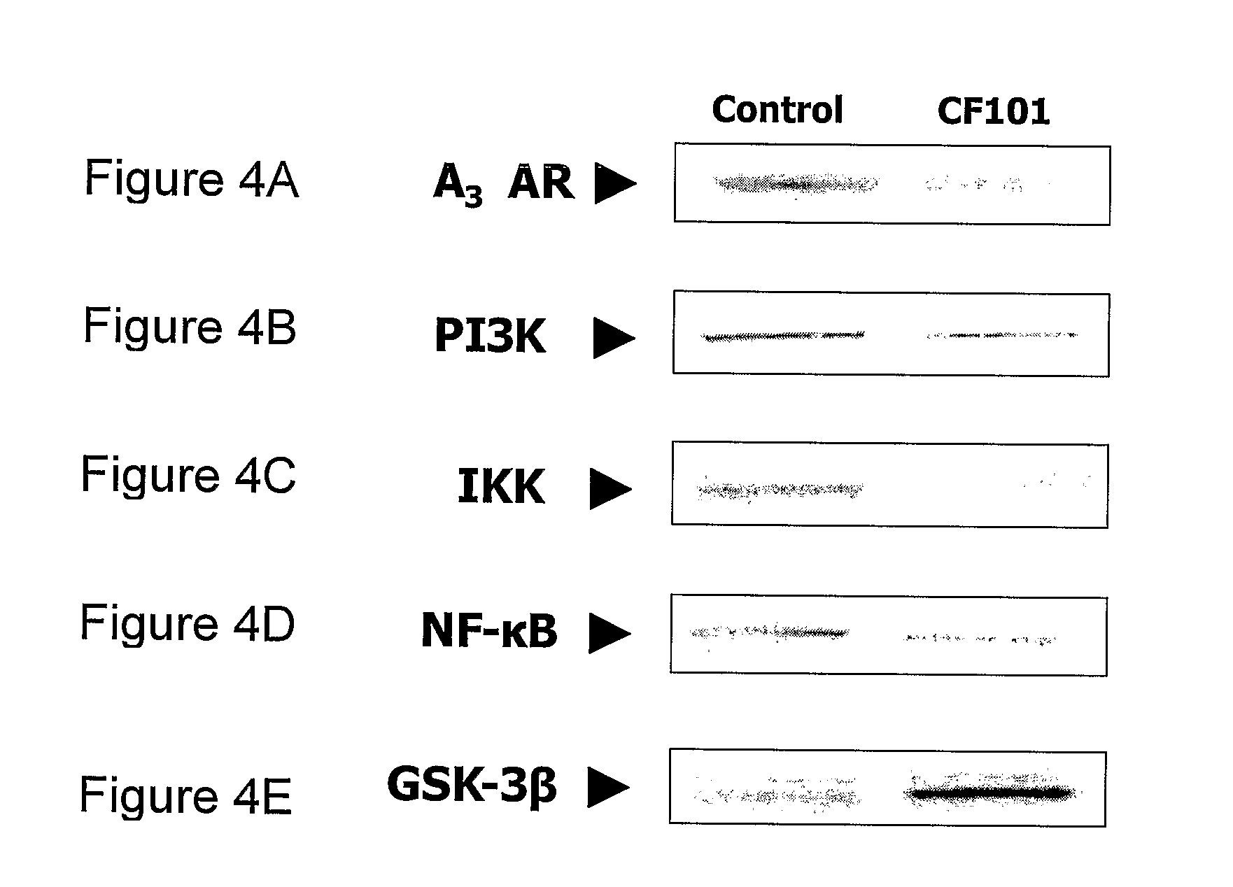 Use of a3 adenosine receptor agonist in osteoarthritis treatment