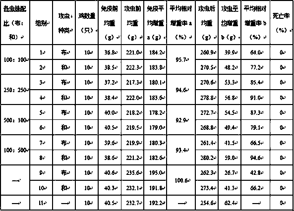 Chicken coccidiosis attenuated live vaccine as well as preparation method and application thereof