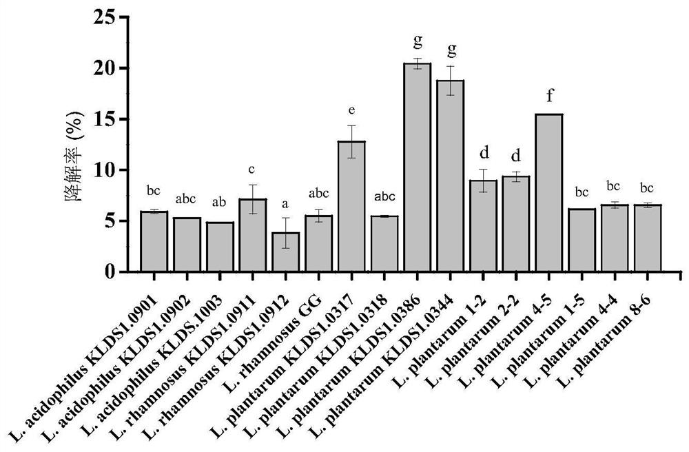 Application of the mixture of Lactobacillus plantarum klds1.0386 and tryptophan in the preparation of drugs for preventing colitis