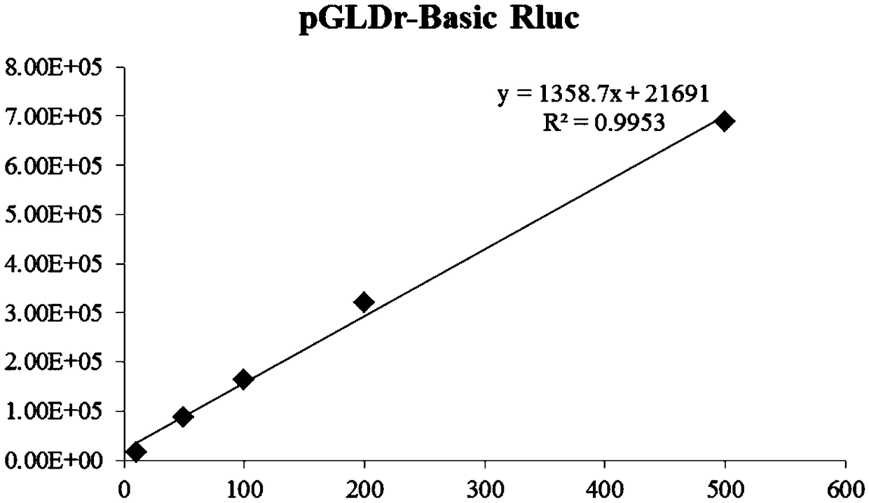 Novel multifunctional dual-luciferase reporter gene plasmid