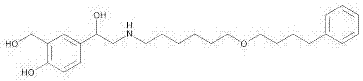 Method for preparing salmeterol transdermal patch