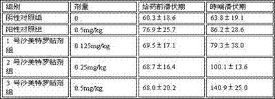 Method for preparing salmeterol transdermal patch