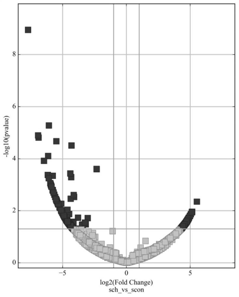 Molecular marker for detecting/evaluating curative effect of premature schizophrenia and application of molecular marker