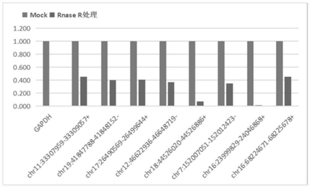 Molecular marker for detecting/evaluating curative effect of premature schizophrenia and application of molecular marker