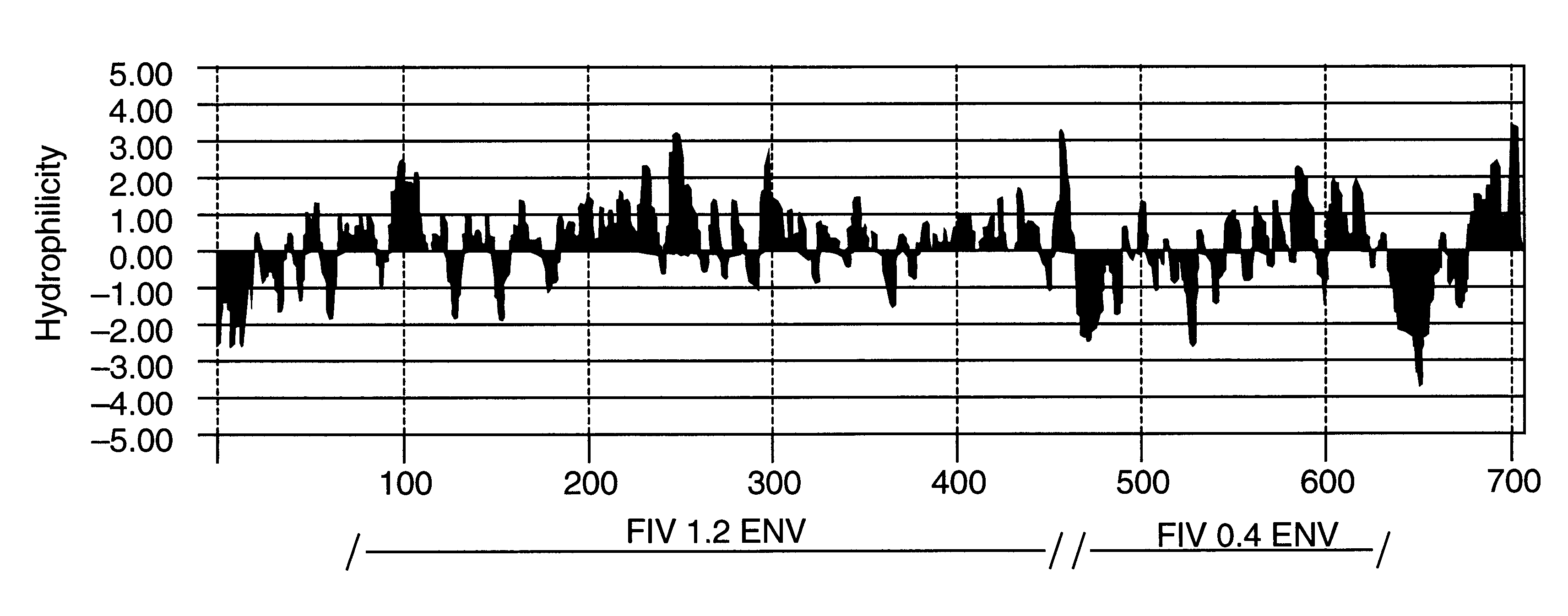 Recombinant FIV glycoprotein 160 and P24 gag protein