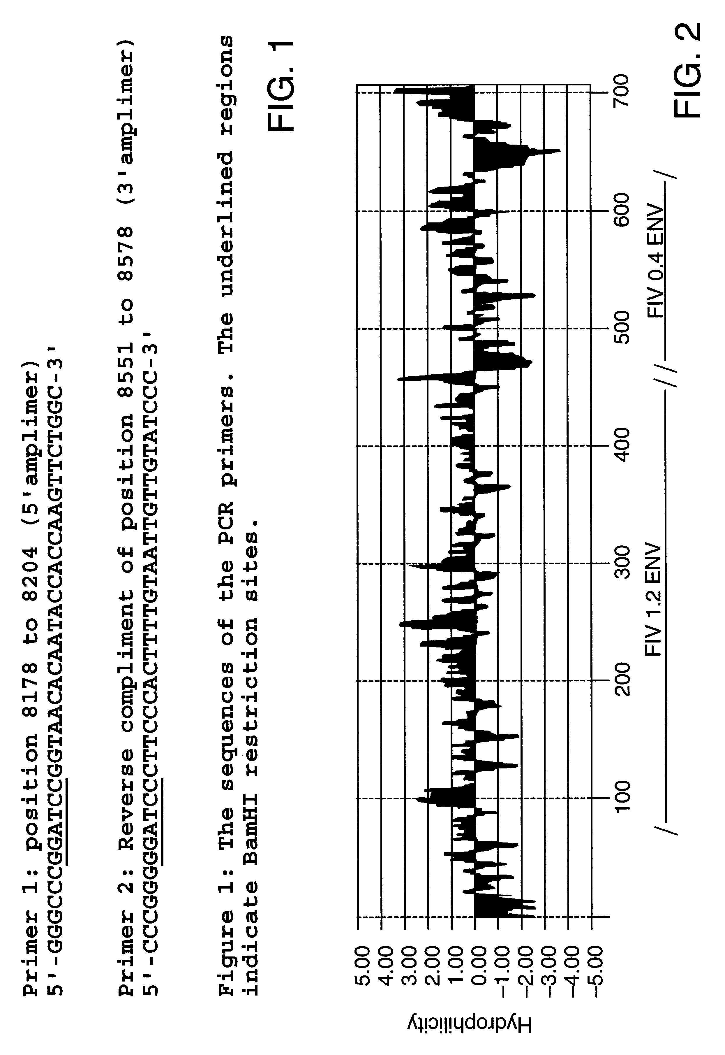 Recombinant FIV glycoprotein 160 and P24 gag protein