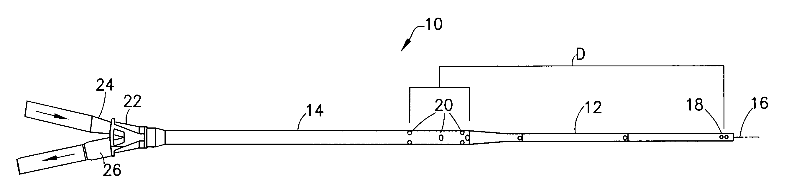 Dual lumen cannula