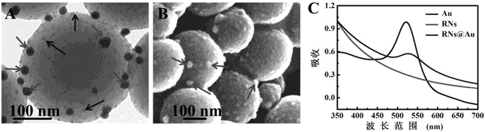 Preparation of colorimetric and fluorescent double-signal nanospheres and application of colorimetric and fluorescent double-signal nanospheres to immunochromatographic quantitative detection