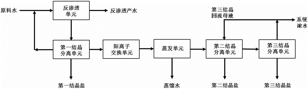 Salt production method and salt production system