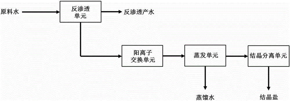 Salt production method and salt production system