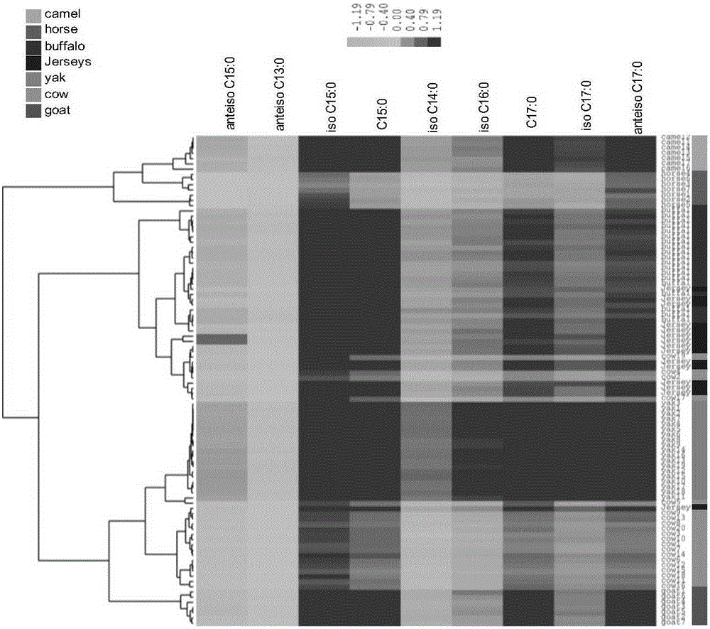 Use of odd-numbered and branched-chain fatty acids as markers for identifying animal species in milk