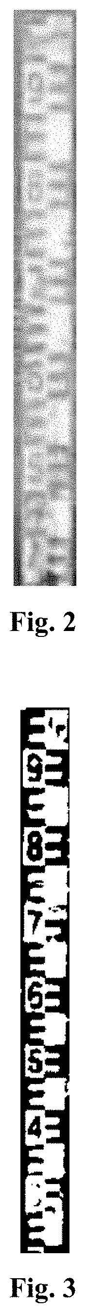 Water level monitoring method based on cluster partition and scale recognition