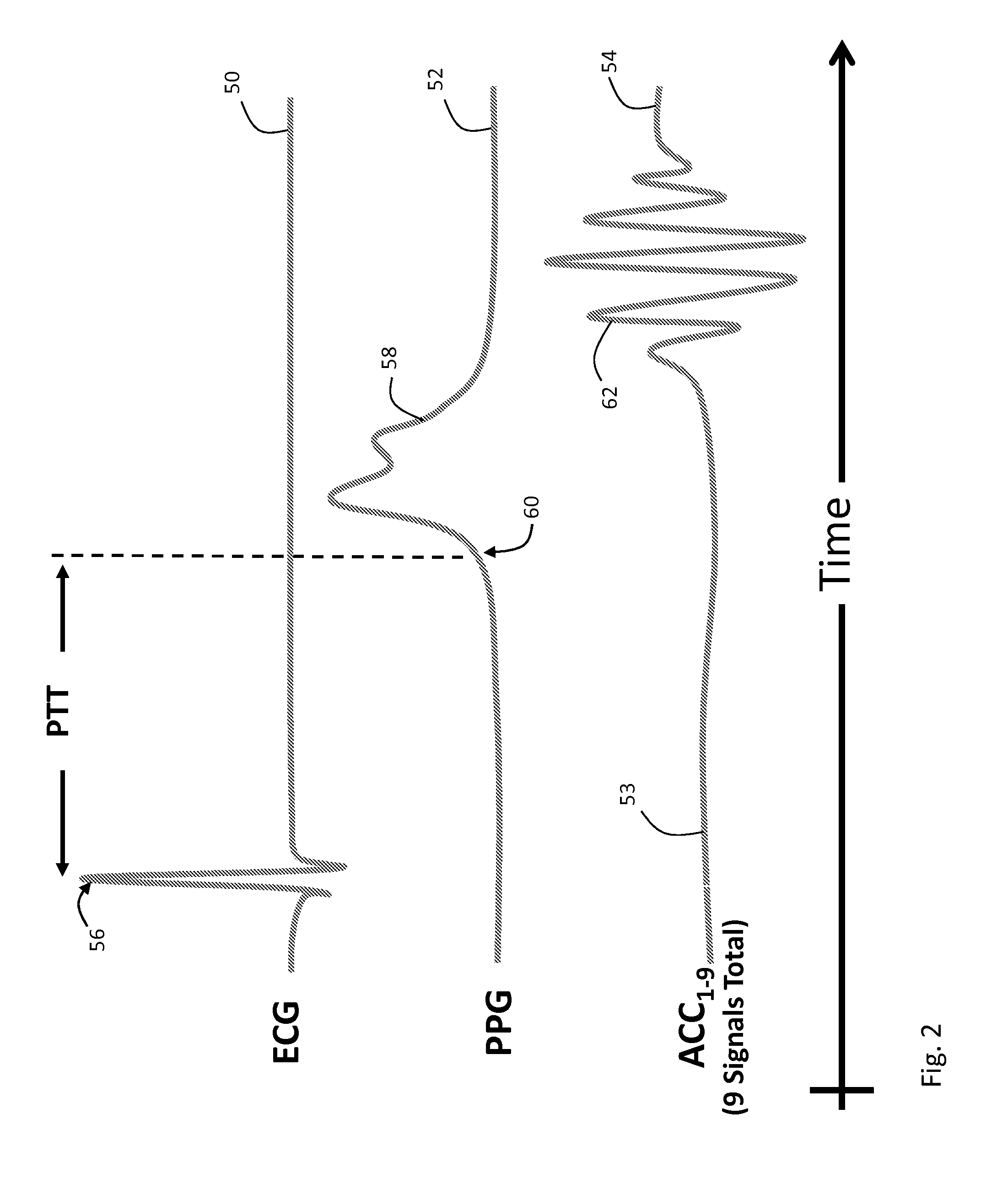 System for calibrating a ptt-based blood pressure measurement using arm height